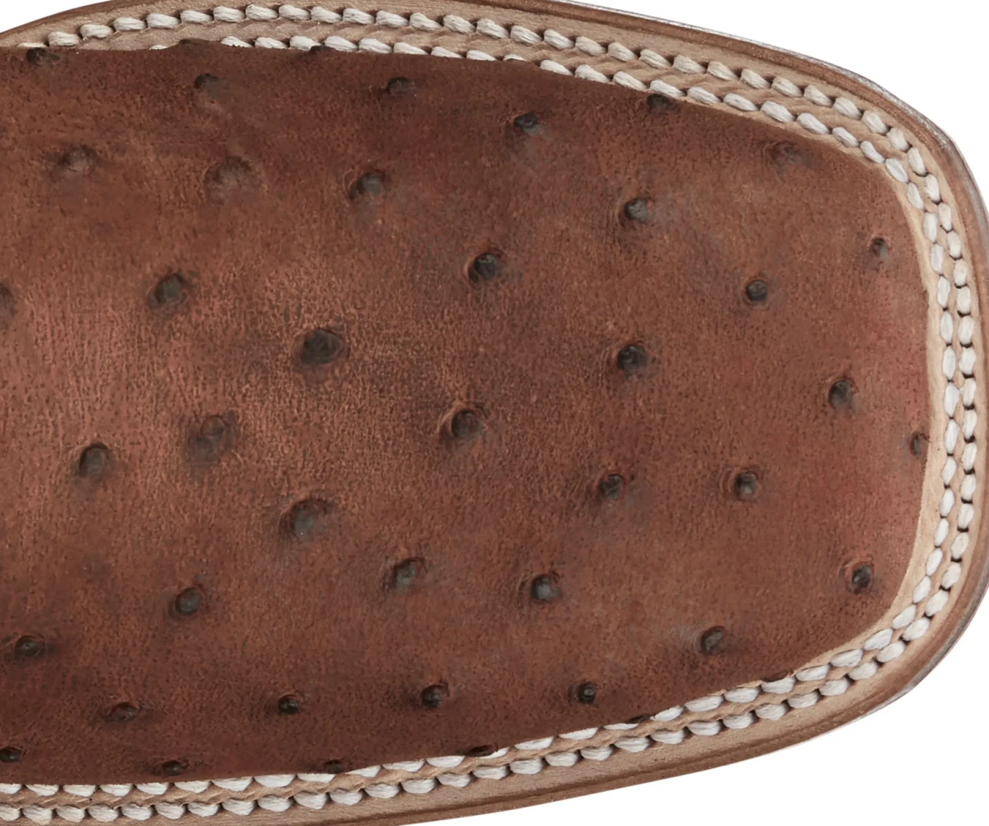 Justin Boots Belmont 11" Full Quill Ostrich Wild Brandy Sale