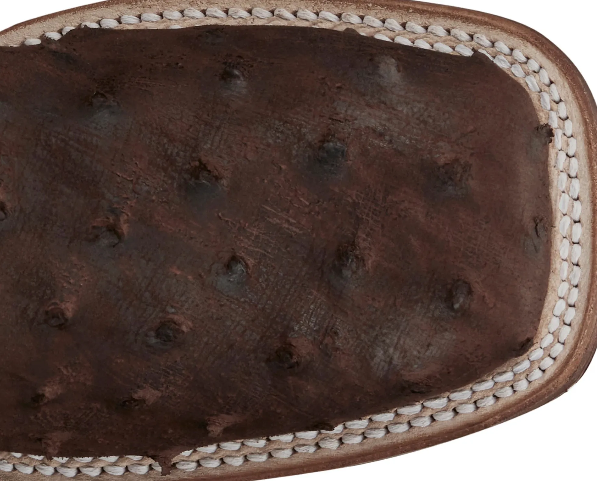 Justin Boots Cowgal 13" Western Boot Wild Cigar New